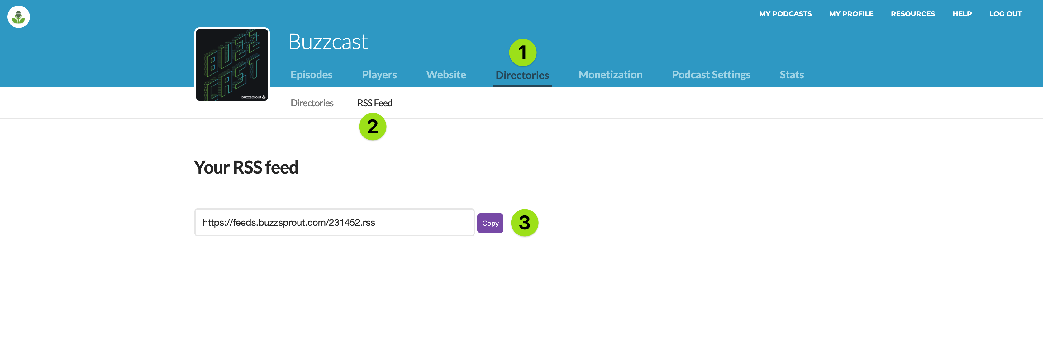 Buzzsprout WordPress Plugin Setup