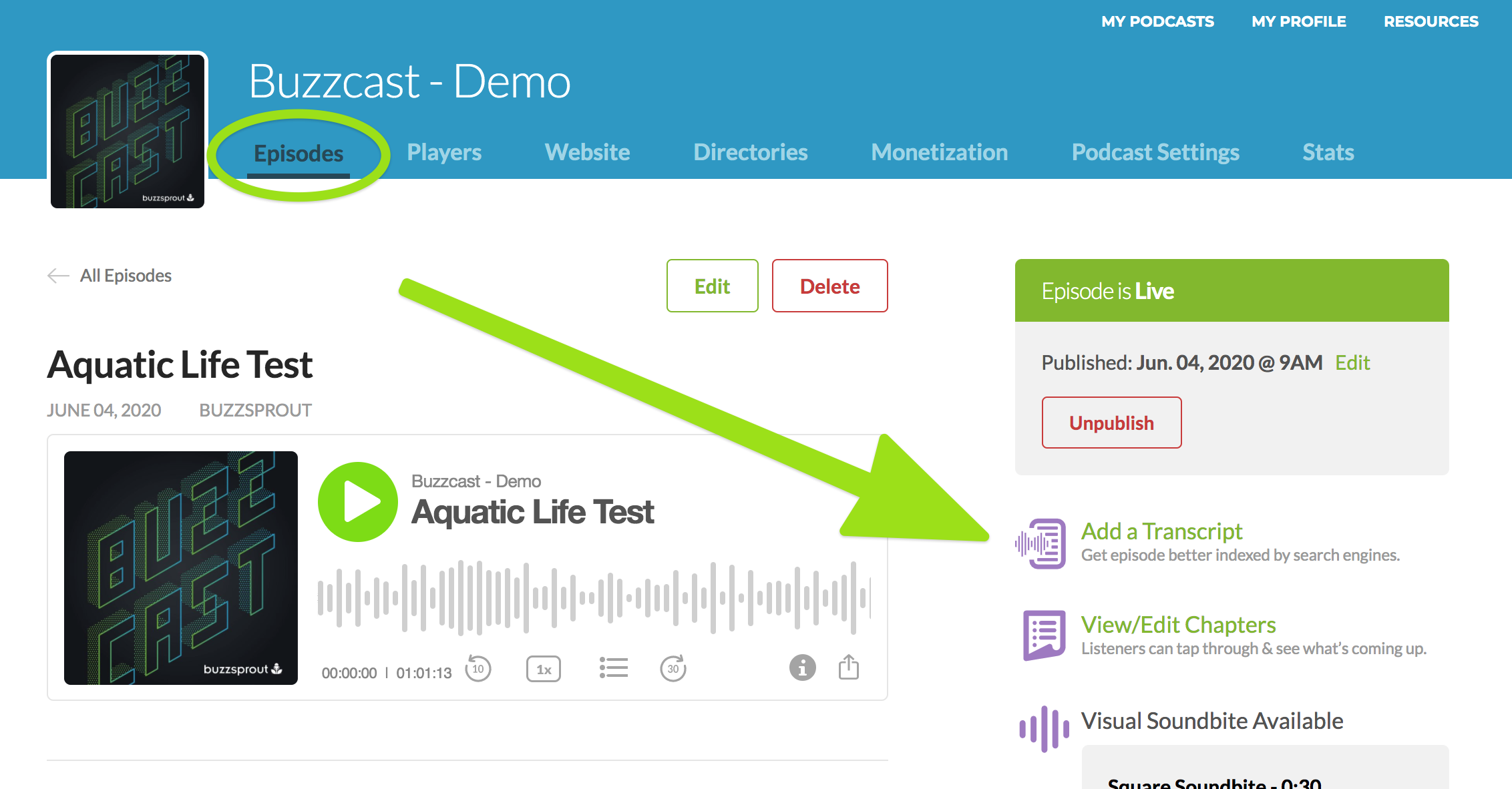 transcribe podcast