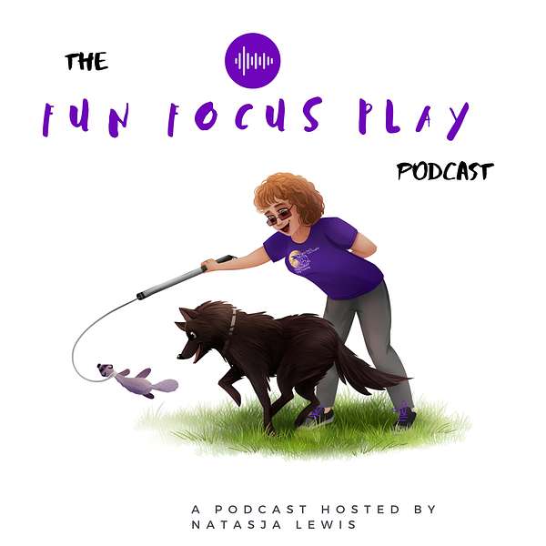 The Fun | Focus | Play Podcast Podcast Artwork Image