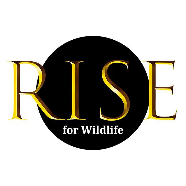 RISE for Wildlife Podcast Artwork Image