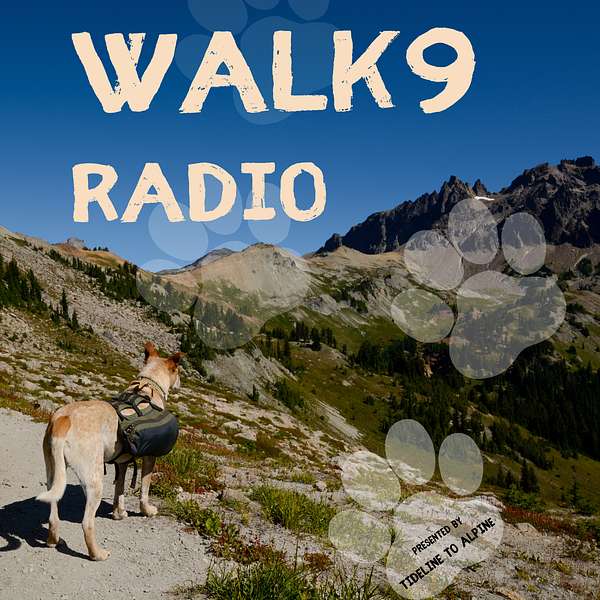 WALK9 Radio Podcast Artwork Image