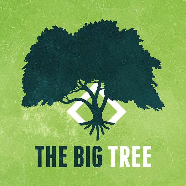 The Big Tree Podcast Artwork Image