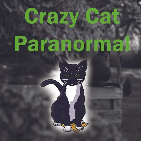 Crazy Cat Paranormal Speaks Podcast Artwork Image