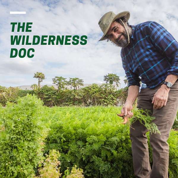 The Wilderness Doc Podcast Artwork Image