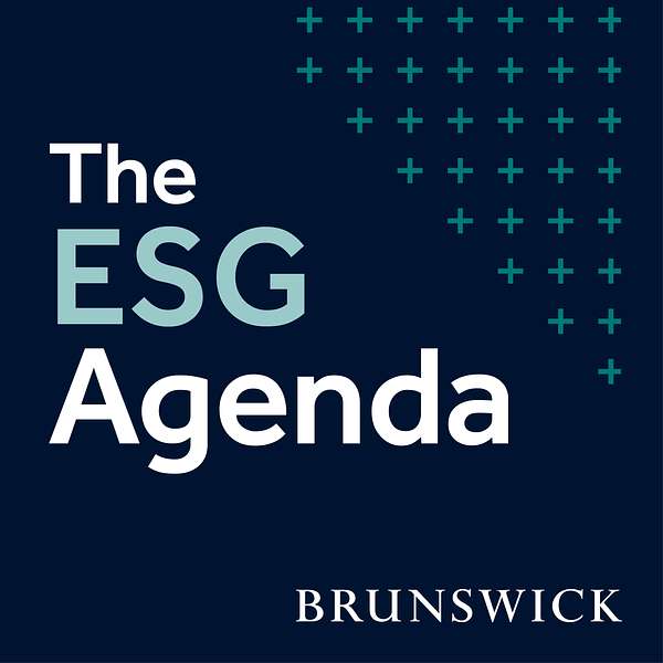 The ESG Agenda Podcast Artwork Image