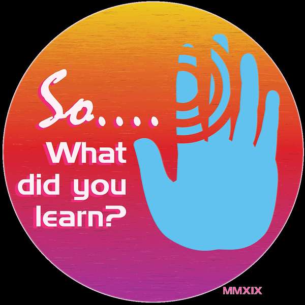 So...What Did You Learn? Podcast Artwork Image