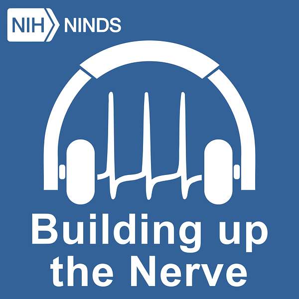 NINDS's Building Up the Nerve Podcast Artwork Image