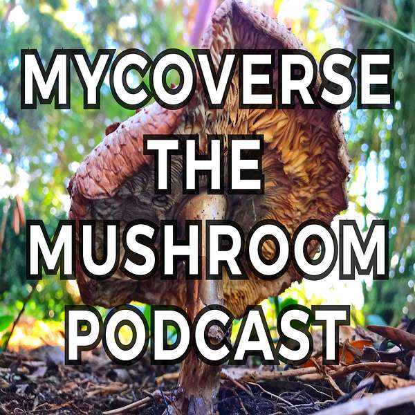 Mycoverse The Mushroom Podcast  Podcast Artwork Image