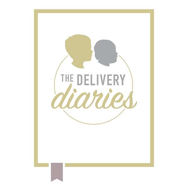 The Delivery Diaries  Podcast Artwork Image