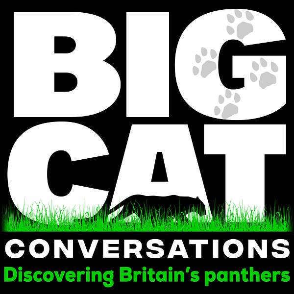 Big Cat Conversations Podcast Artwork Image