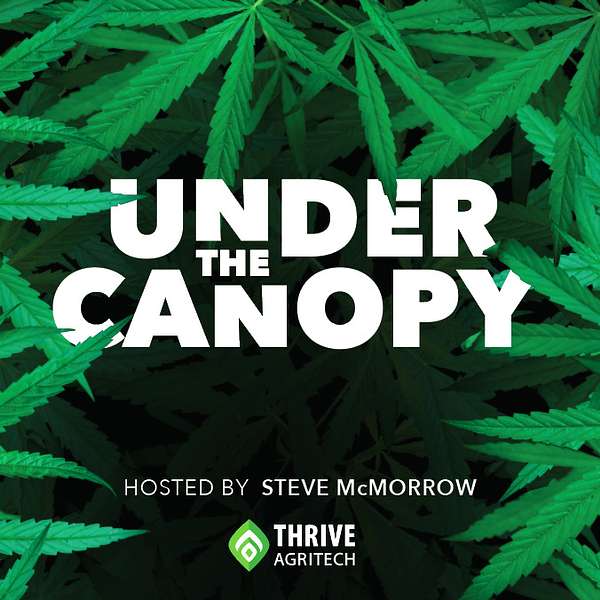 Under The Canopy Podcast Artwork Image