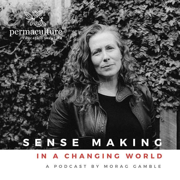 Sense-Making in a Changing World Podcast Artwork Image