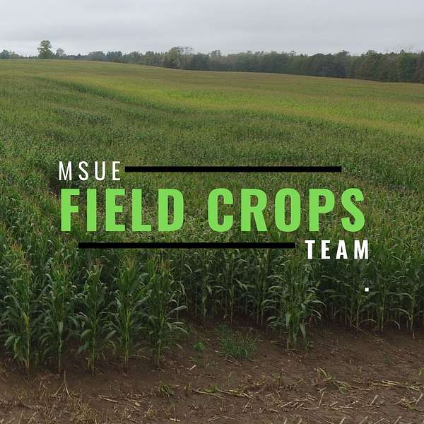 Michigan Field Crops Podcast Artwork Image