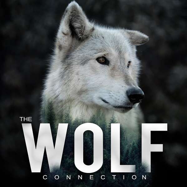 The Wolf Connection Podcast Artwork Image