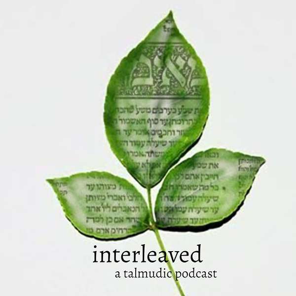 Interleaved: A Talmudic Podcast Podcast Artwork Image