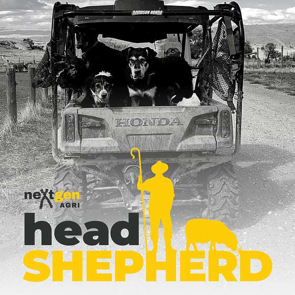 Head Shepherd Podcast Artwork Image