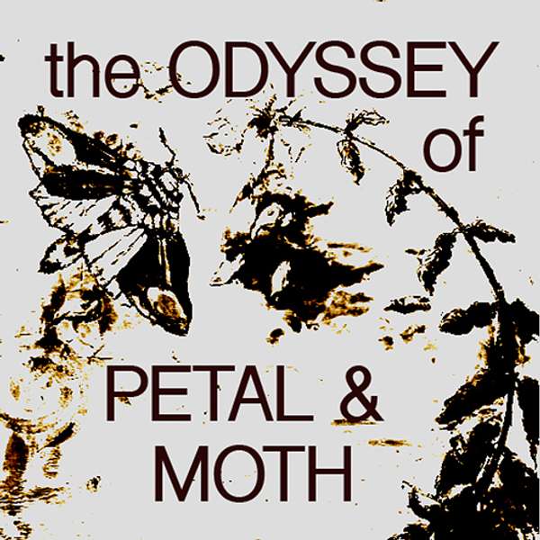 The Odyssey of Petal & Moth - tales from an underdog film Podcast Artwork Image