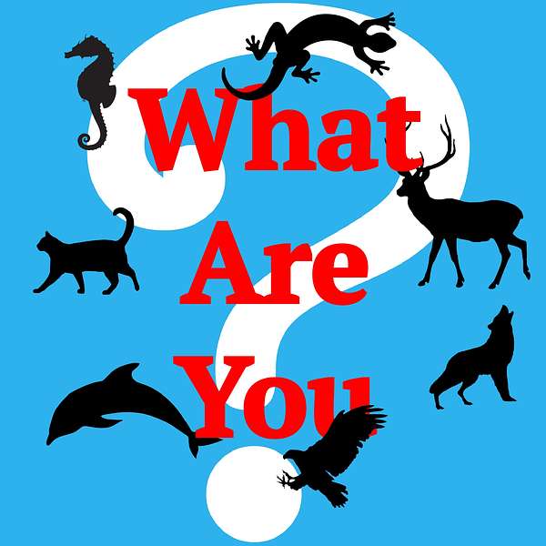 What are you? Podcast Artwork Image