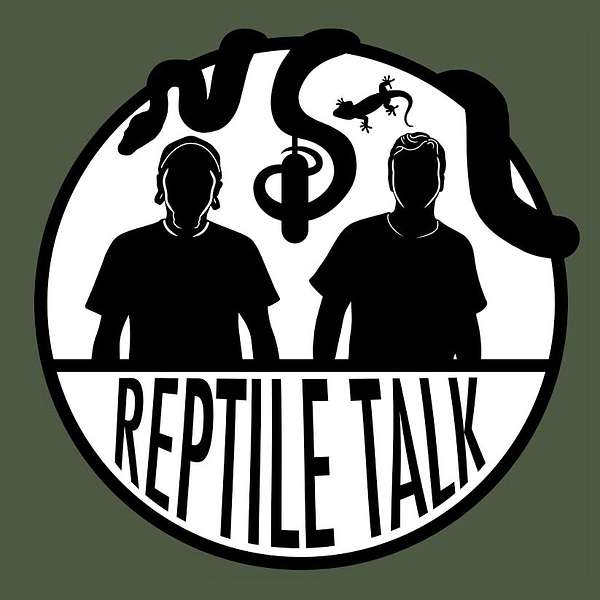 Reptile Talk Podcast Artwork Image