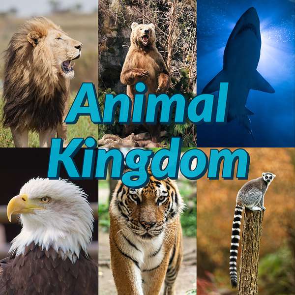 Artwork for Animal Kingdom