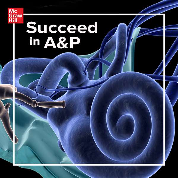 Succeed In A&P Podcast Artwork Image