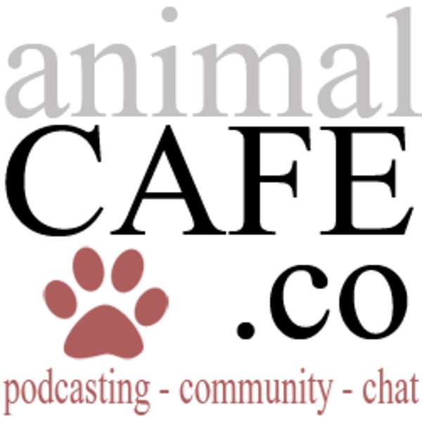 Animal Cafe  Podcast Artwork Image