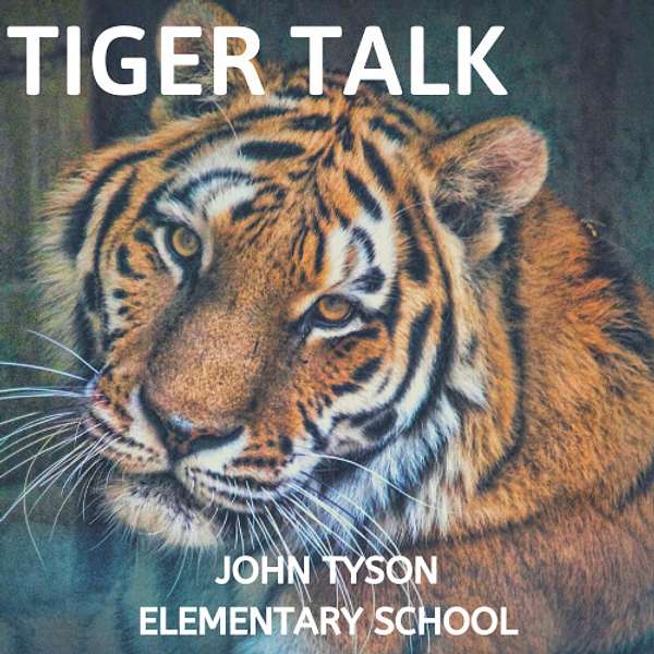Artwork for Tiger Talk