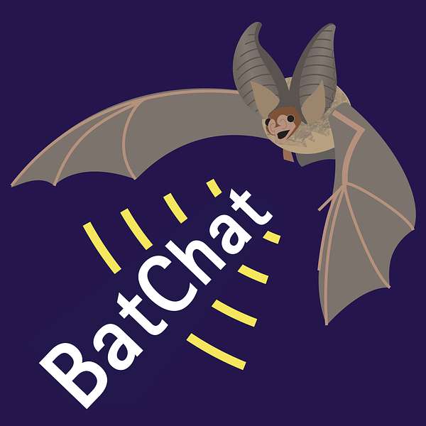 Artwork for BatChat