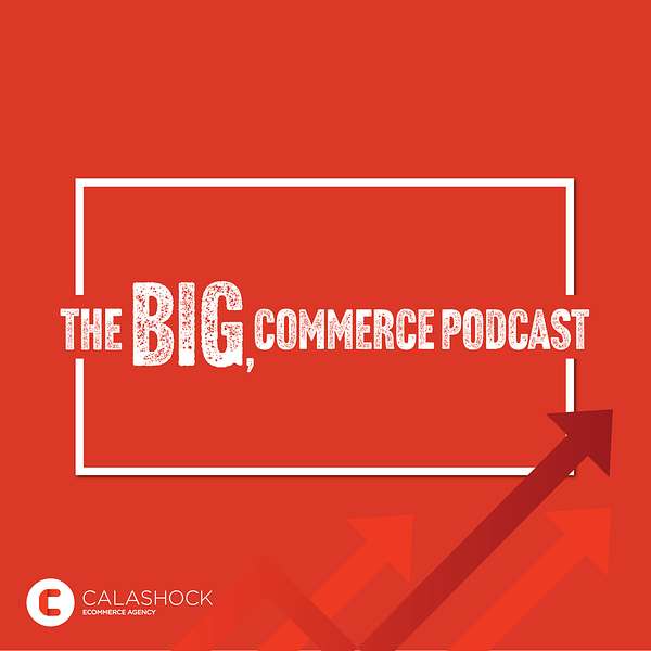 The BIG, commerce Podcast Podcast Artwork Image