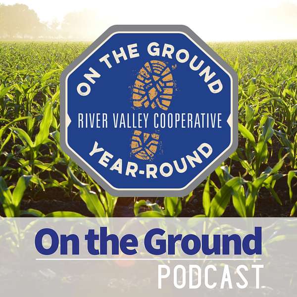 On the Ground Podcast Podcast Artwork Image