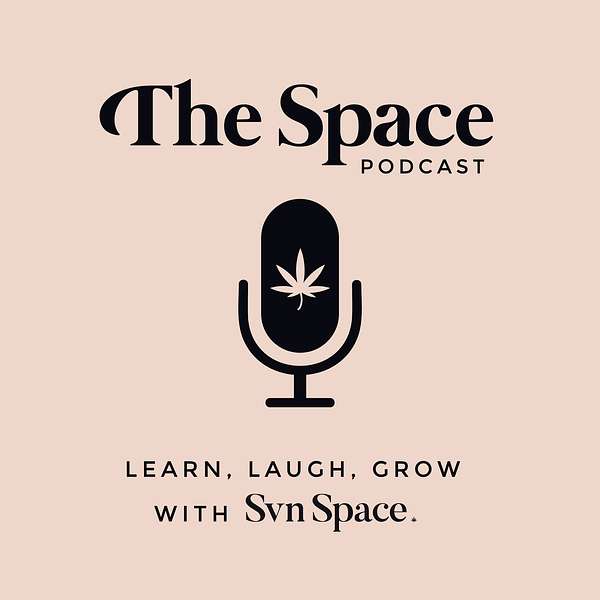 THE Space by Svn Space Podcast Podcast Artwork Image