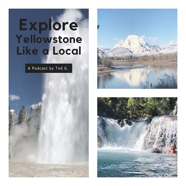 Explore Yellowstone Like a Local! Save TIME & MONEY on your Yellowstone Vacation.  Podcast Artwork Image