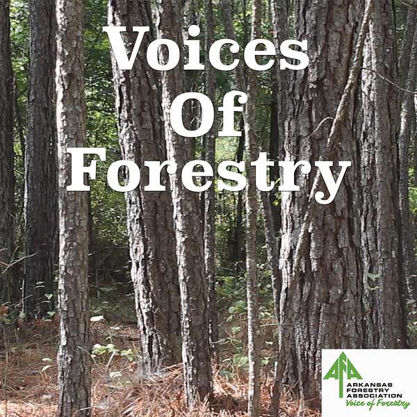 Voices of Forestry Podcast Artwork Image