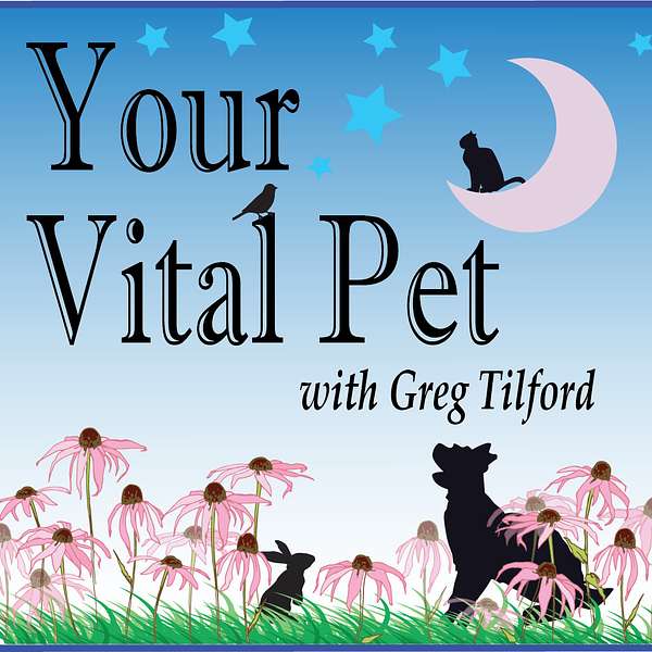 Your Vital Pet Podcast Artwork Image