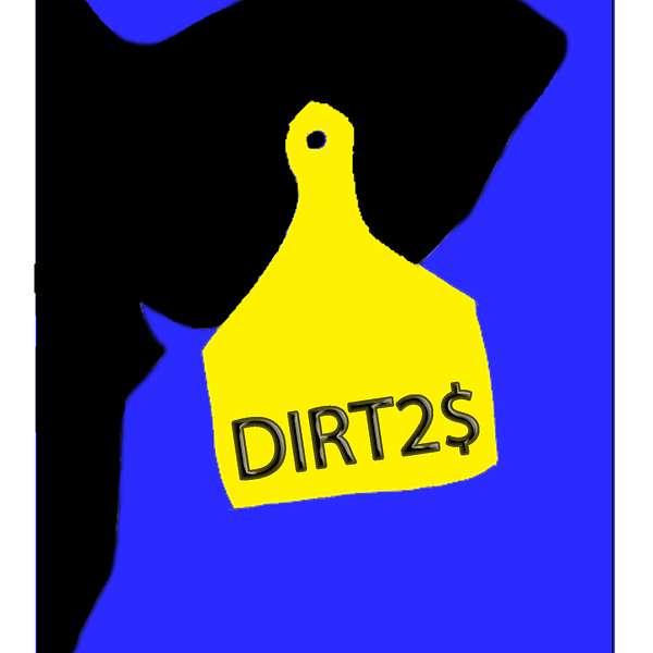 Dirt to Dollars Podcast Artwork Image