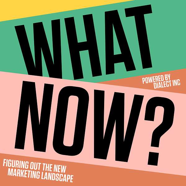 What Now? Figuring out the new business landscape Podcast Artwork Image