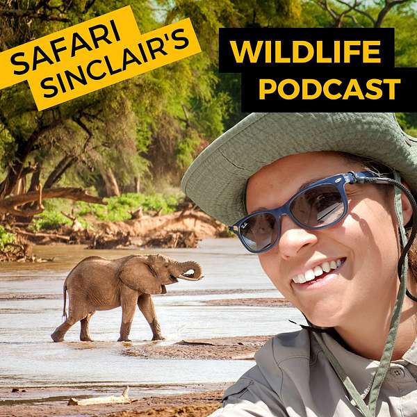 Safari Sinclair's Wildlife Podcast Podcast Artwork Image