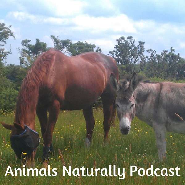 Animals Naturally Podcast Artwork Image