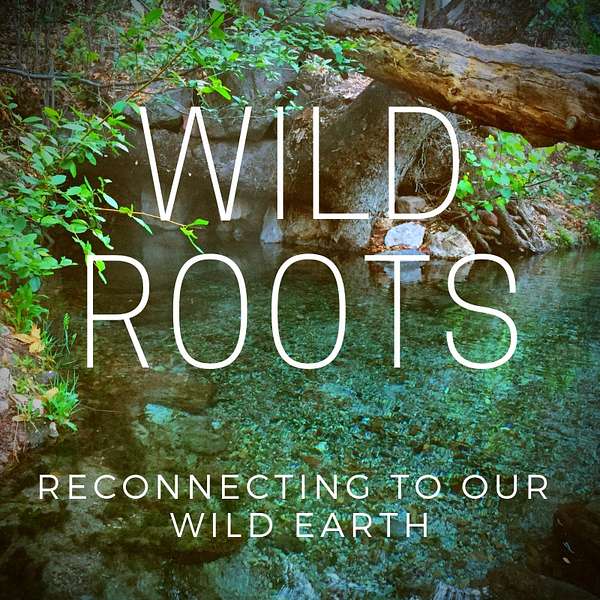 WILD ROOTS Podcast Artwork Image