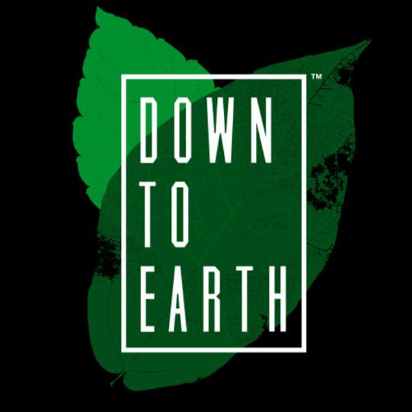 Down To Earth Podcast Artwork Image