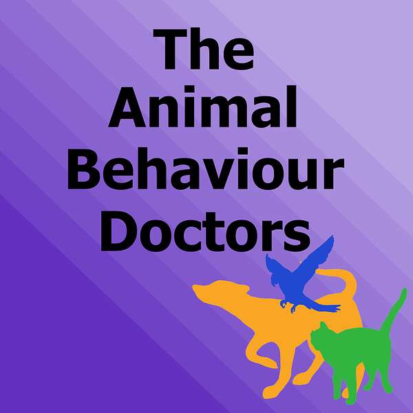 The Animal Behaviour Doctors Podcast Artwork Image