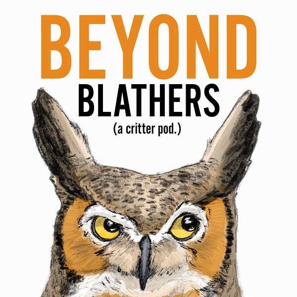 Beyond Blathers Podcast Artwork Image
