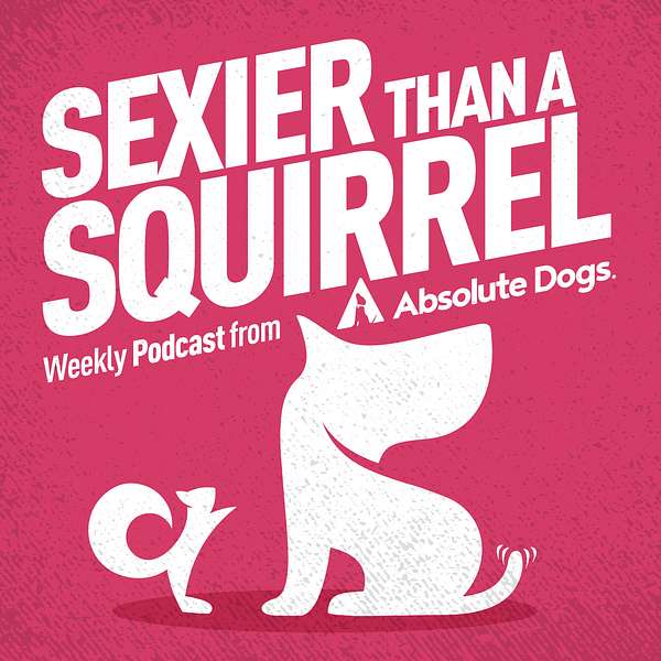 Sexier Than A Squirrel: Dog Training That Gets Real Life Results Podcast Artwork Image