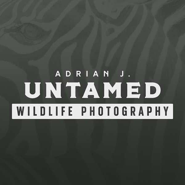Untamed Wildlife Photography Podcast Artwork Image