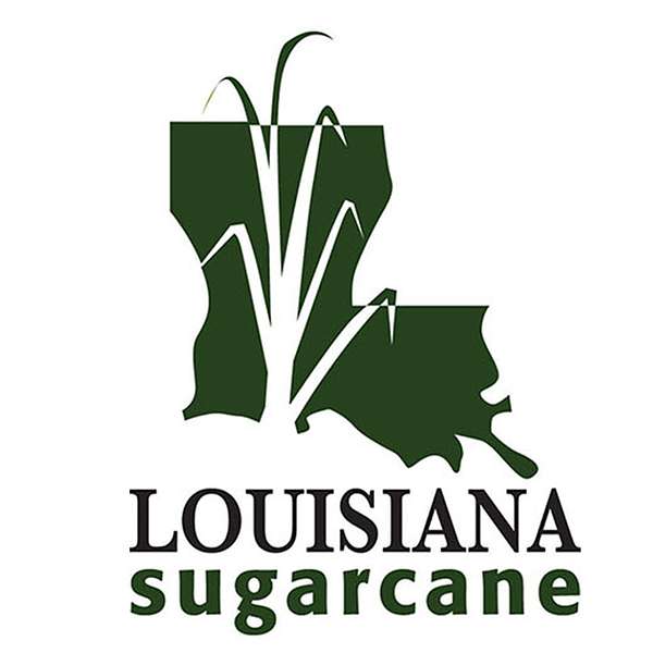 Louisiana Sugarcane News  Podcast Artwork Image