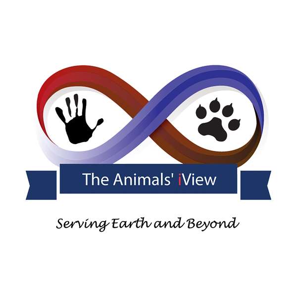 The Animals' iView with Lizanne Flynn Podcast Artwork Image