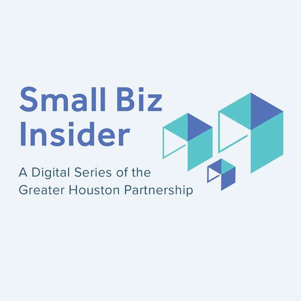 Small Biz Insider Podcast Artwork Image