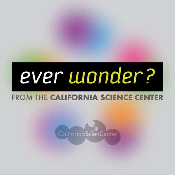 Ever Wonder? from the California Science Center Podcast Artwork Image