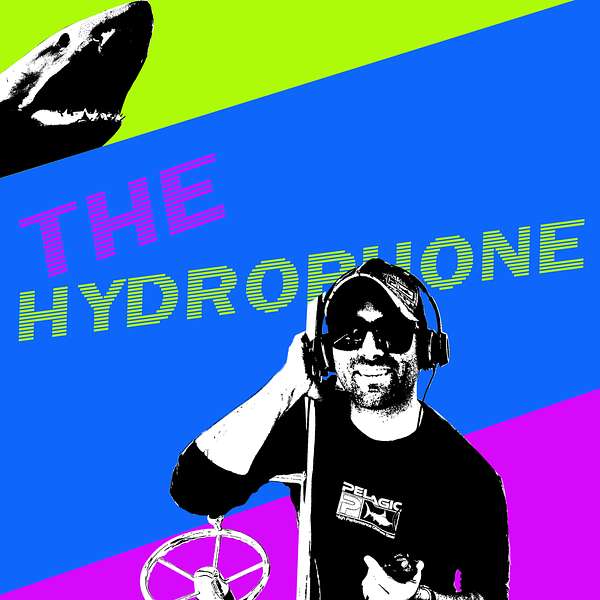 The Hydrophone Podcast Artwork Image