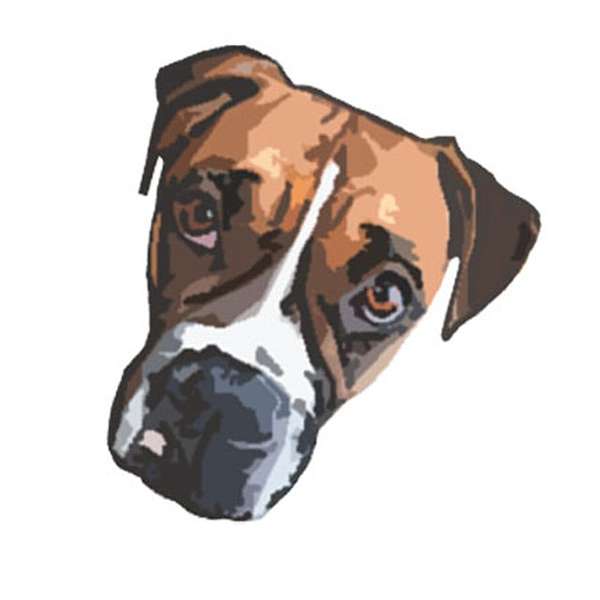 Cashiers Canine Connection Podcast Artwork Image